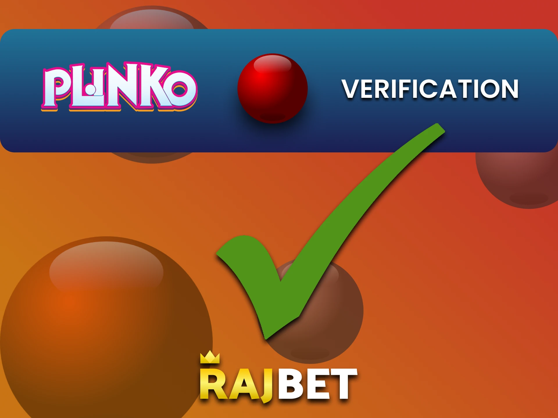 Fill in your personal data for Plinko on Rajbet.