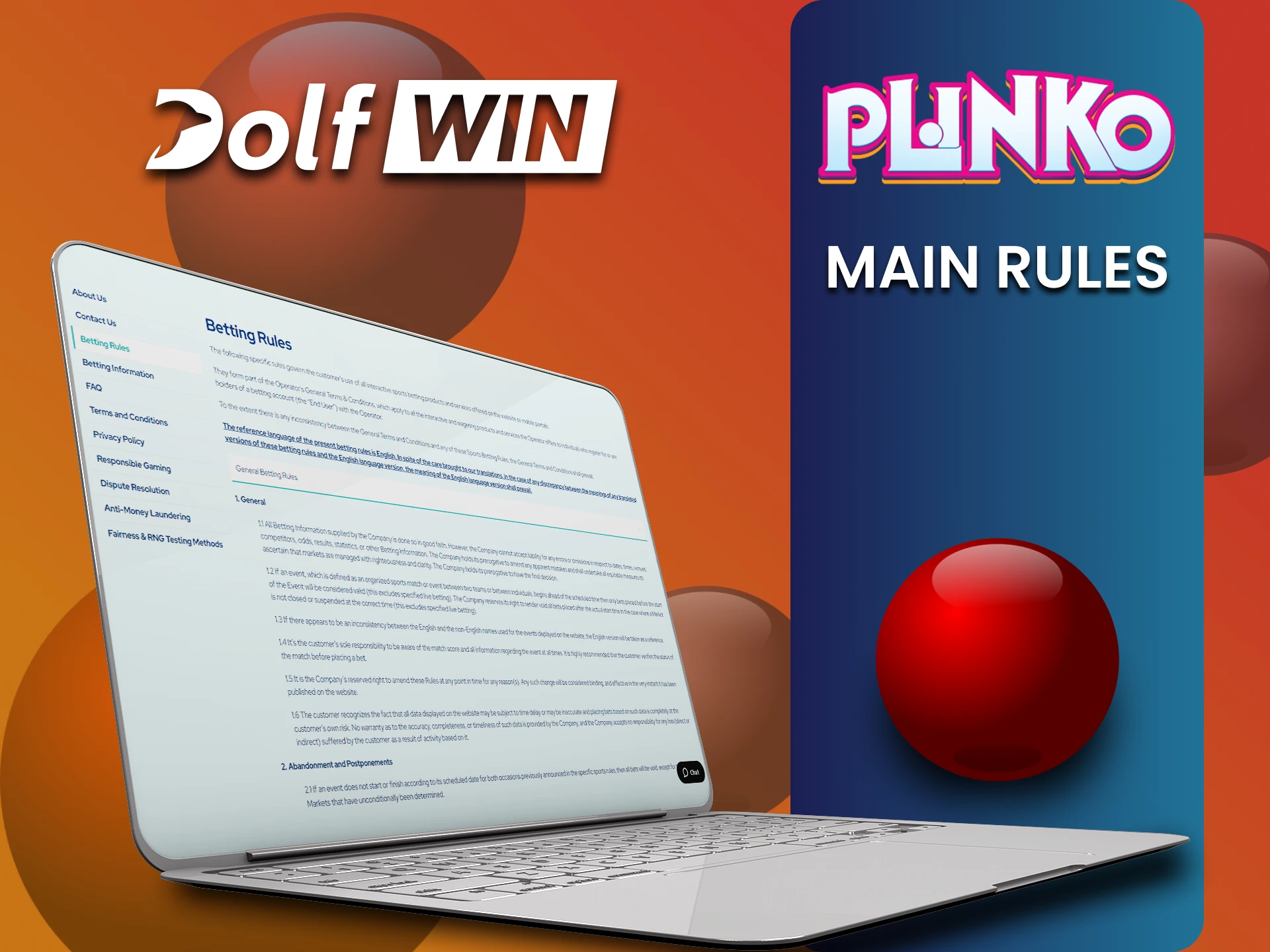 Learn the terms of use on the Dolfwin website for playing Plinko.