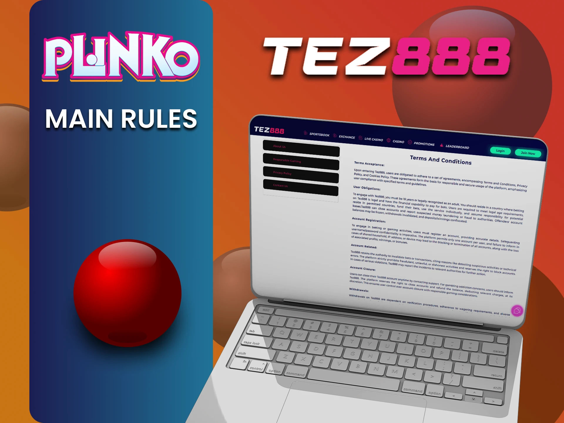 The Tez888 website has rules that you should study before playing Plinko.