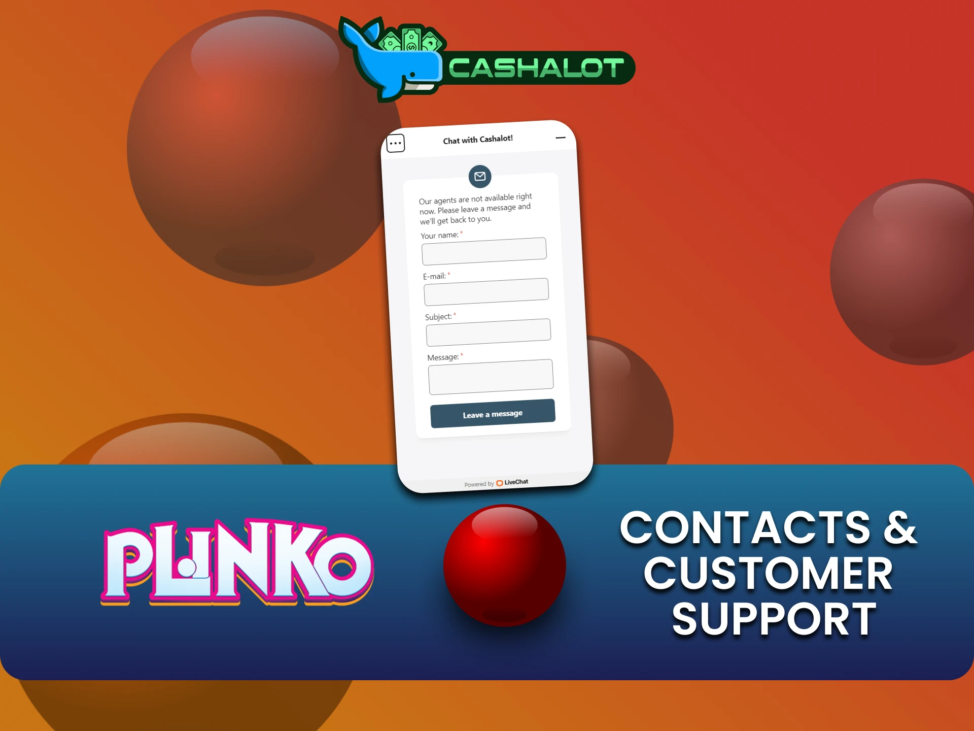 There are several ways to contact the Cashalot team.