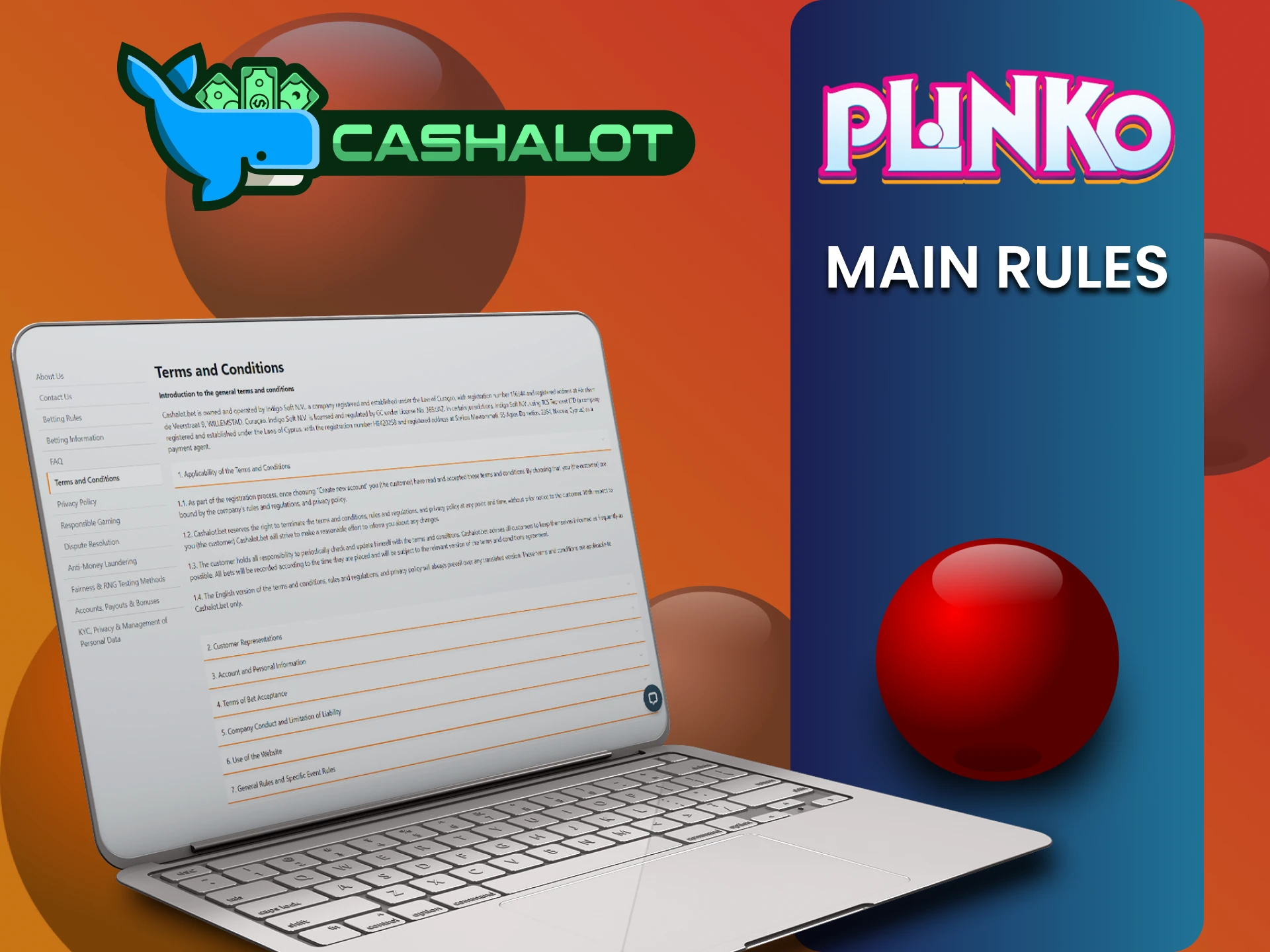 The Cashalot website has rules that you should study before playing Plinko.