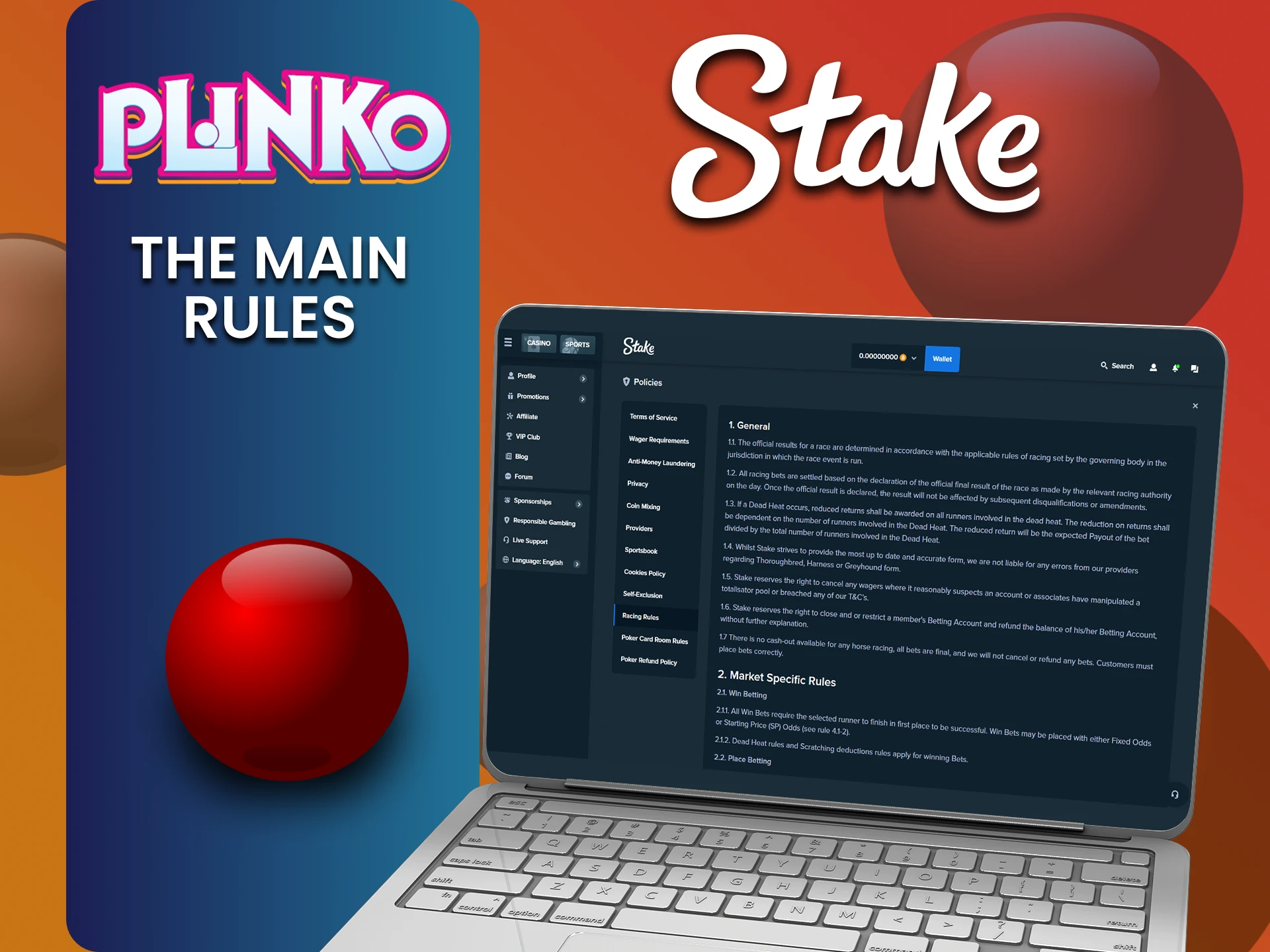 Learn the rules for using the Stake website to play Plinko.