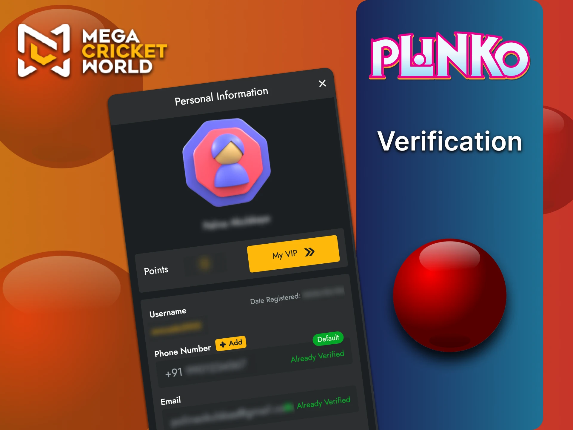 You must verify your MegaCricketWorld account.