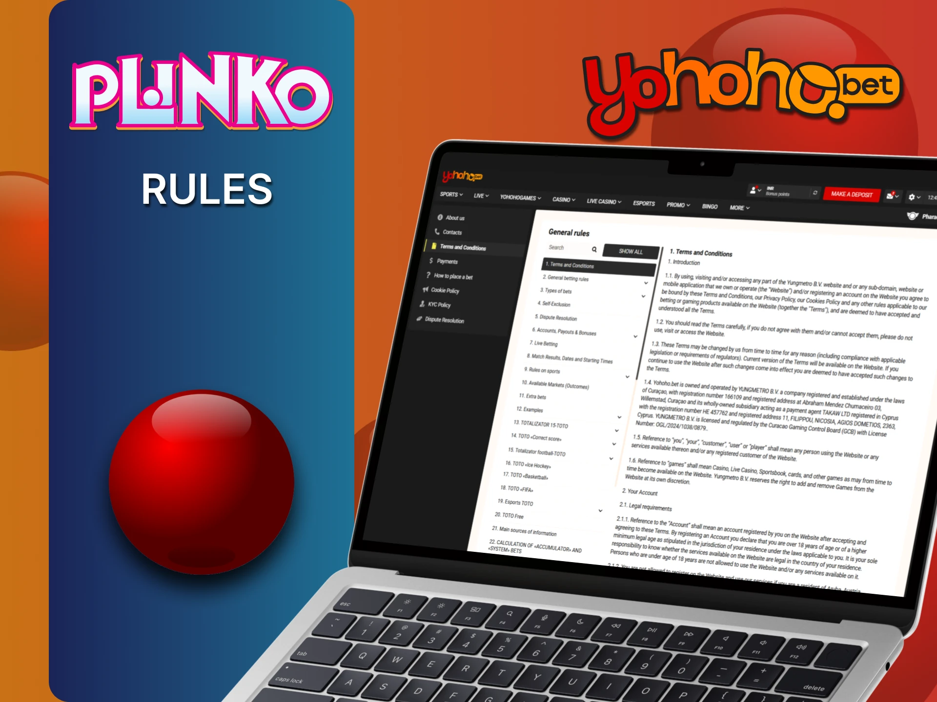 See the main rules of playing Plinko at YoHoHo.